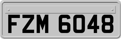 FZM6048