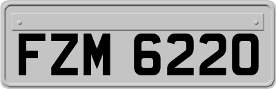 FZM6220