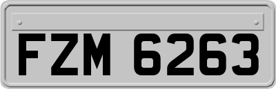 FZM6263
