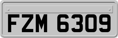 FZM6309