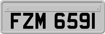 FZM6591