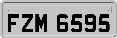FZM6595