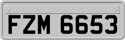 FZM6653