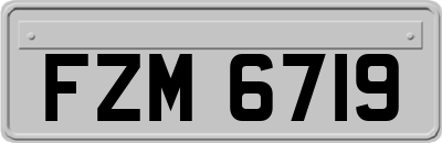 FZM6719