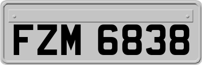 FZM6838