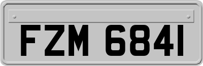 FZM6841