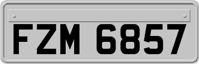 FZM6857