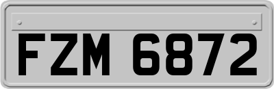 FZM6872