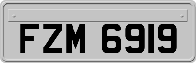 FZM6919