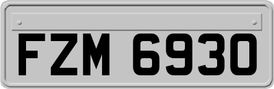 FZM6930