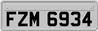 FZM6934