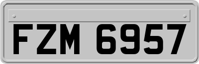 FZM6957