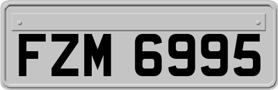 FZM6995