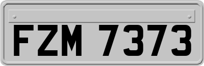 FZM7373