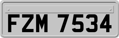 FZM7534
