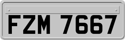 FZM7667