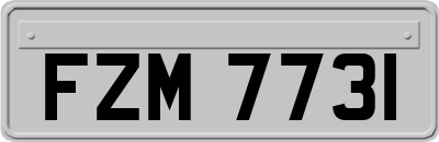 FZM7731