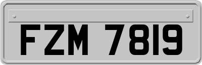 FZM7819
