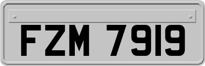 FZM7919