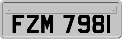 FZM7981