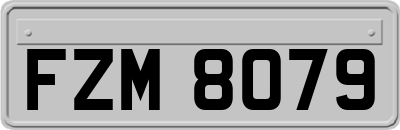 FZM8079