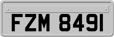 FZM8491