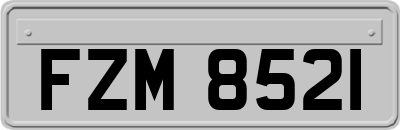 FZM8521