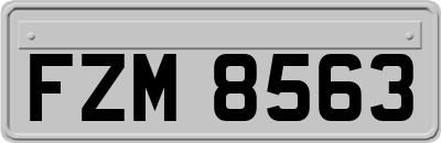 FZM8563