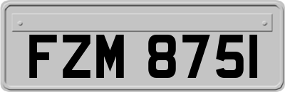 FZM8751