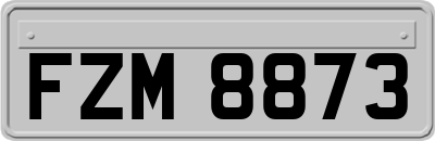 FZM8873
