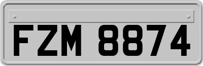 FZM8874