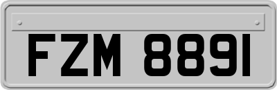 FZM8891