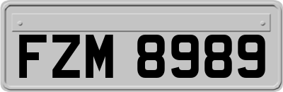 FZM8989
