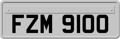 FZM9100