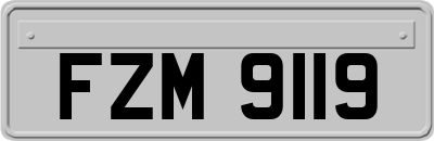 FZM9119