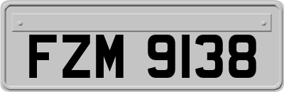 FZM9138