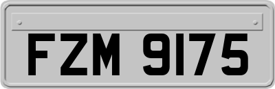 FZM9175