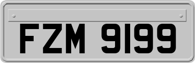 FZM9199