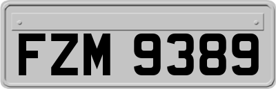 FZM9389