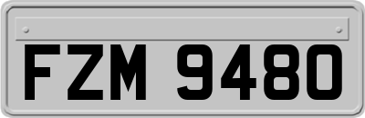 FZM9480