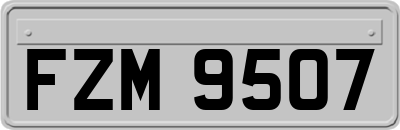 FZM9507