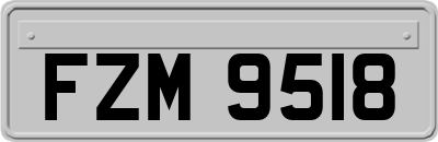 FZM9518