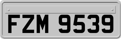 FZM9539