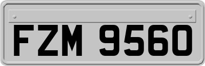 FZM9560