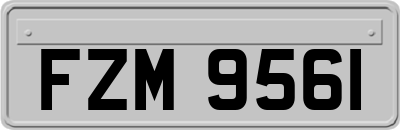 FZM9561