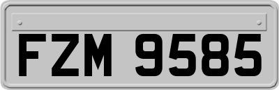 FZM9585