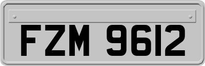 FZM9612