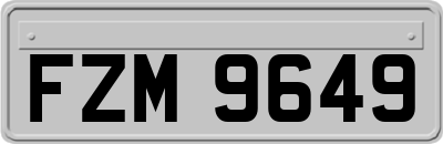 FZM9649