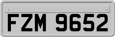 FZM9652