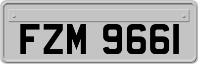 FZM9661